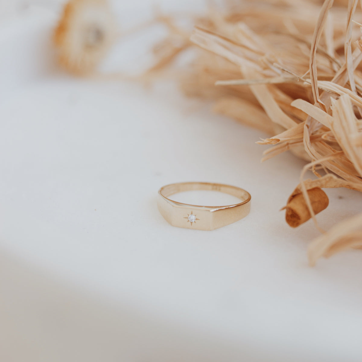 Signet Ring in With Diamond 14k Gold with North Star Design Orizzo fine jewelry