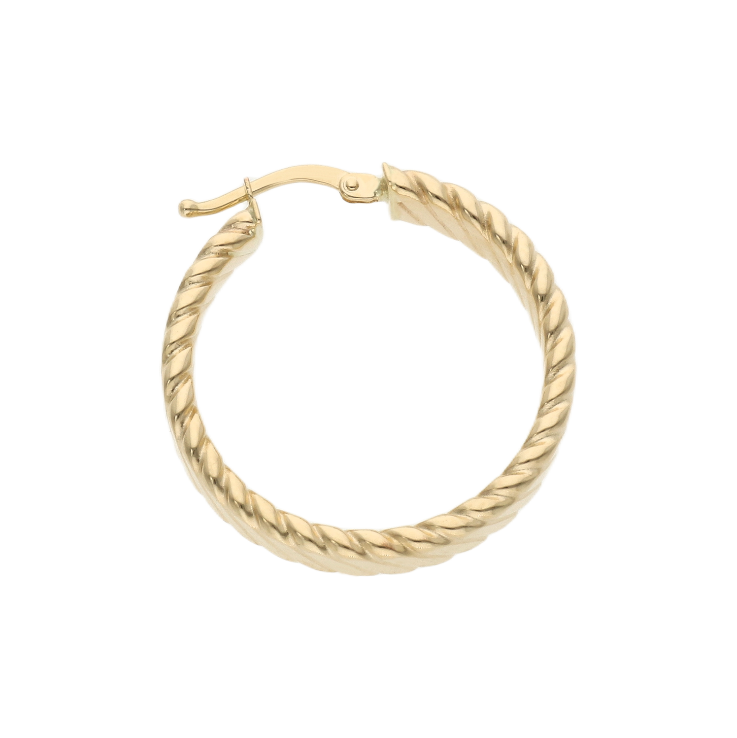 Rope Twist Hoop Earrings