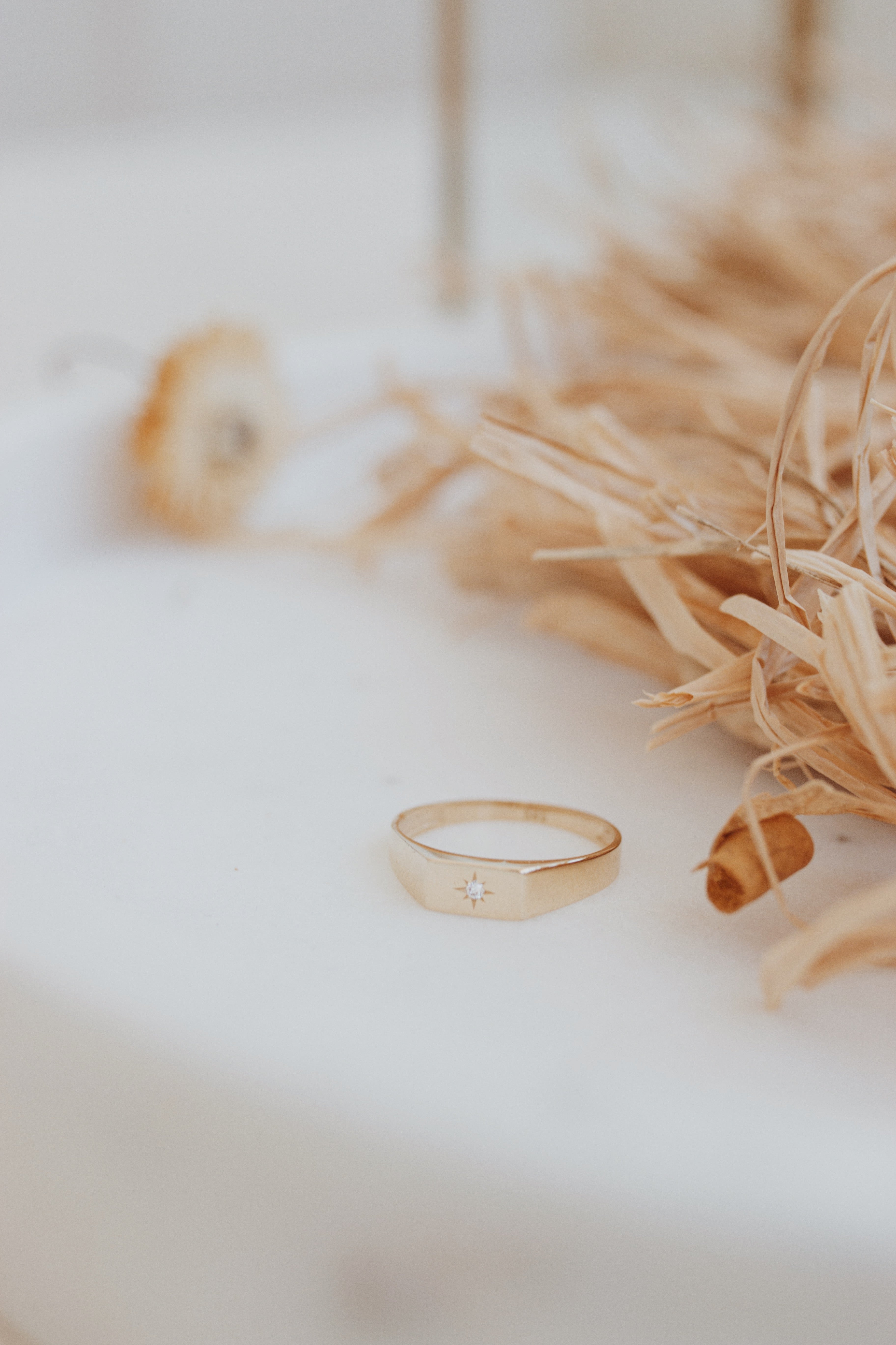 Signet Ring in With Diamond 14k Gold with North Star Design Orizzo fine jewelry